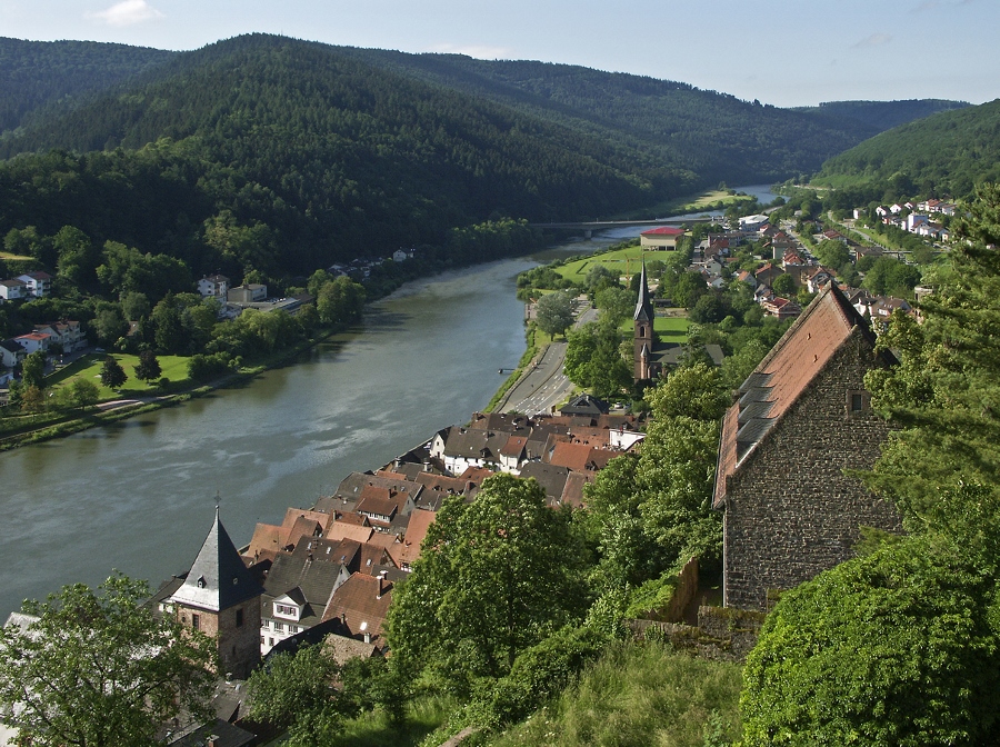 Uitzicht vanaf Slot Hirschhorn boven de Neckar