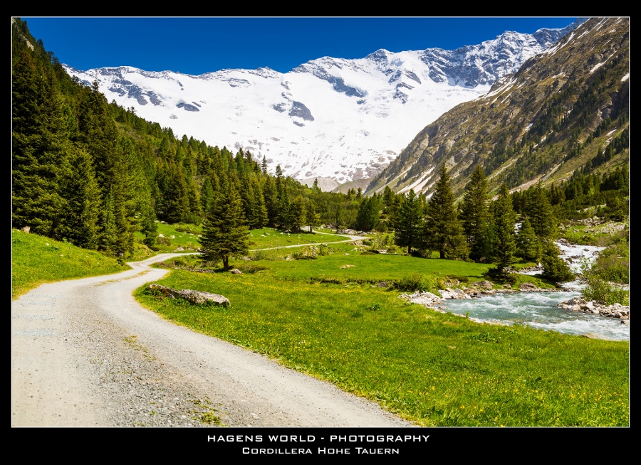 Hagens World The Alps (8)