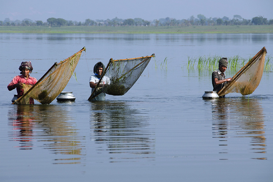 vissers-bangladesh