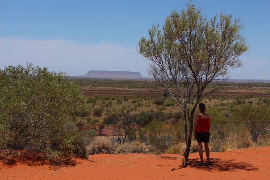 IMG_9972 Vergis je niet, dit is niet Uluru maar Mt. Connor (900x600)