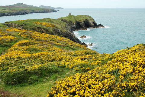 Zou je deze mooiste kustroute van Wales niet eens willen lopen?