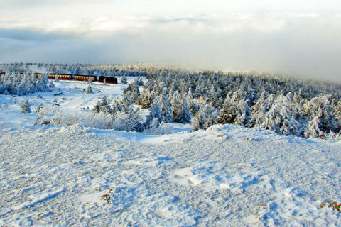 Winterwandelingen in de Harz met of zonder stoomtrein