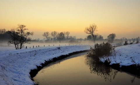 De mooiste winterwandelingen in de Belgische Kempen