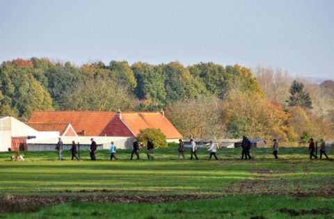 Paasweekend: Wandel 3-daagse door het rustige Vlaamse platteland