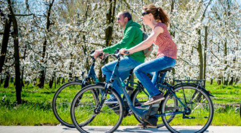 De Fruitlandroute: dé Bloesem-fietsroute van Vlaams Brabant