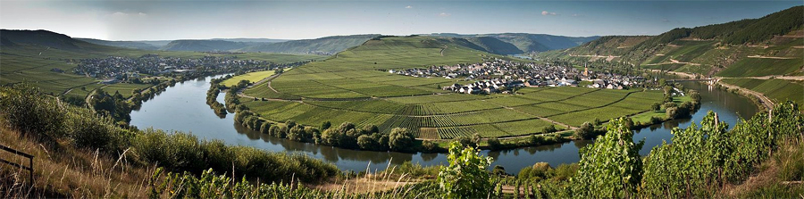 Trittenheim,-Balz-Schreier,-Wikimedia