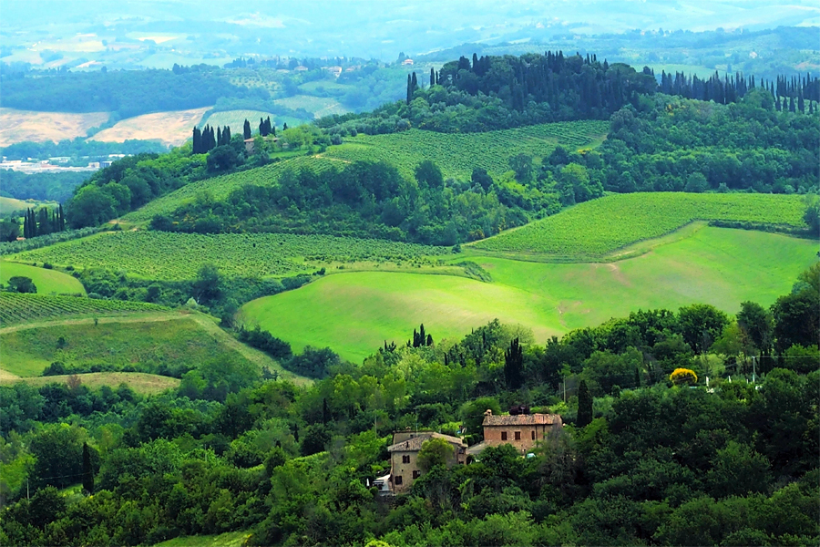 Landschap-Toscane,-Lione-Kolsteren