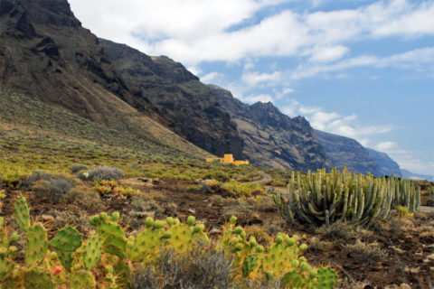 Wandelvakantie door de vulkaanlandschappen van Tenerife