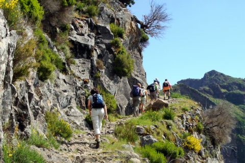 Het ideale wandelklimaat vind je op Madeira, eiland van de eeuwige lente