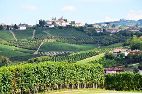 Wandelvakantie door een van de beste wijnstreken van Italië