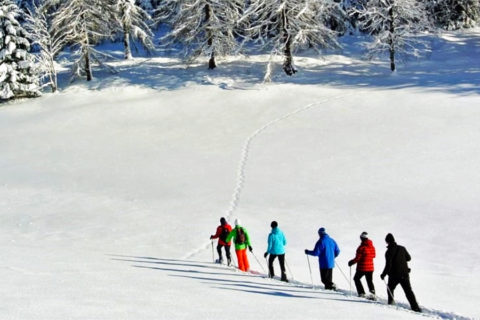 Sneeuwschoen Groepswandel Vakantie Dolomieten