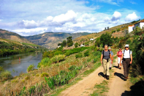 Wandelvakantie Portugal door de Douro vallei met Porto