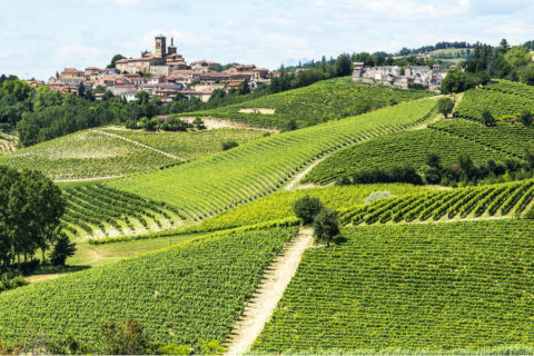 Fietsvakantie Italië door de wijngaarden van Piemonte