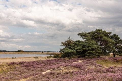 Wandelvakantie mooiste paden van Oost-Drenthe