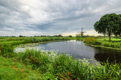 Ontdek de ‘Boerenlandpaden’ in het Groene Hart van Holland
