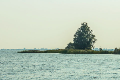 Fietsen langs het Tjeukermeer, ‘t grootste meer van Friesland