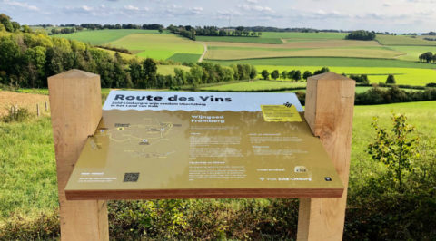 Drie nieuwe Wijnwandelroutes in Wijnregio Zuid-Limburg