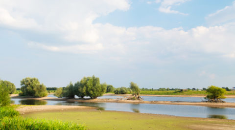 IJsselpad: 177km langs één van de mooiste rivieren van Nederland