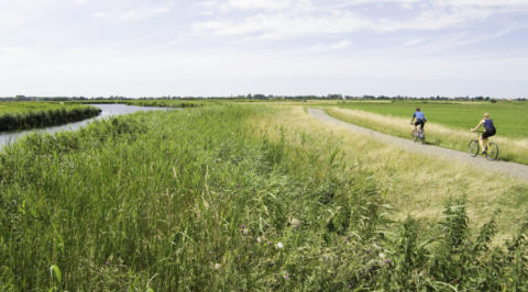 Fietsen in ‘Waterland’ door het polderlandschap veroverd op de Zuiderzee