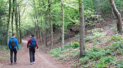29 & 30 april: Zevenheuvelentocht door de mooiste bossen van Groesbeek en Mook