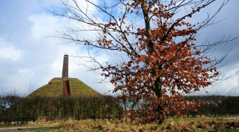 21 febr: Pyramidetocht, groepswandeltocht door de bossen van Austerlitz